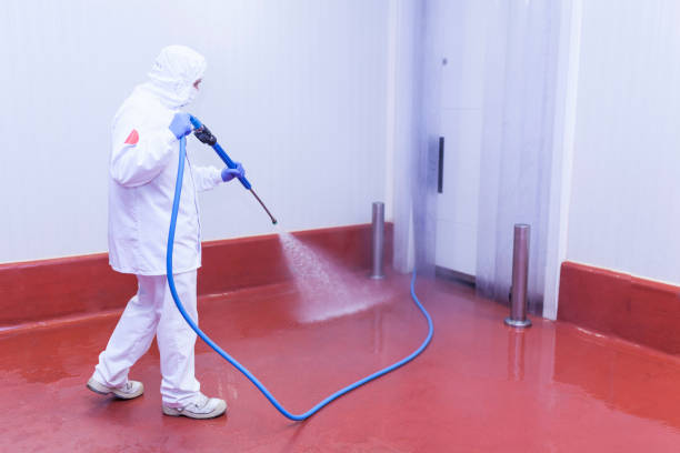 Trusted Blountville, TN Pressure Washing Services Experts